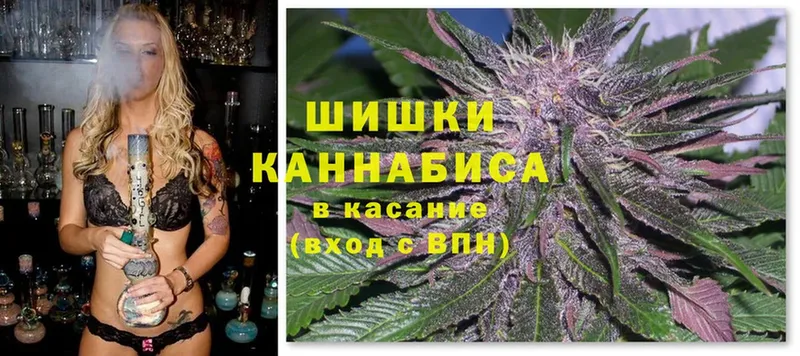 купить наркоту  Павлово  Марихуана Amnesia 